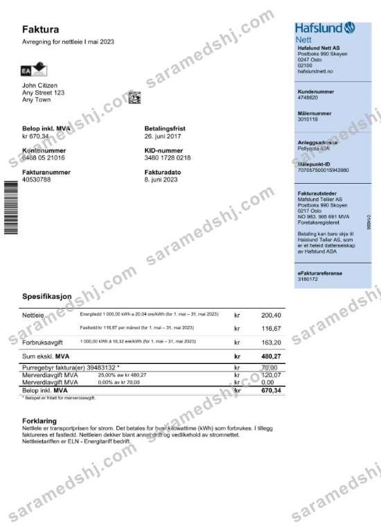 Norway Hafslund utility bill Word and PDF template